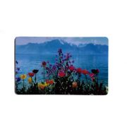 Гармонизатор Здоровья и Успеха